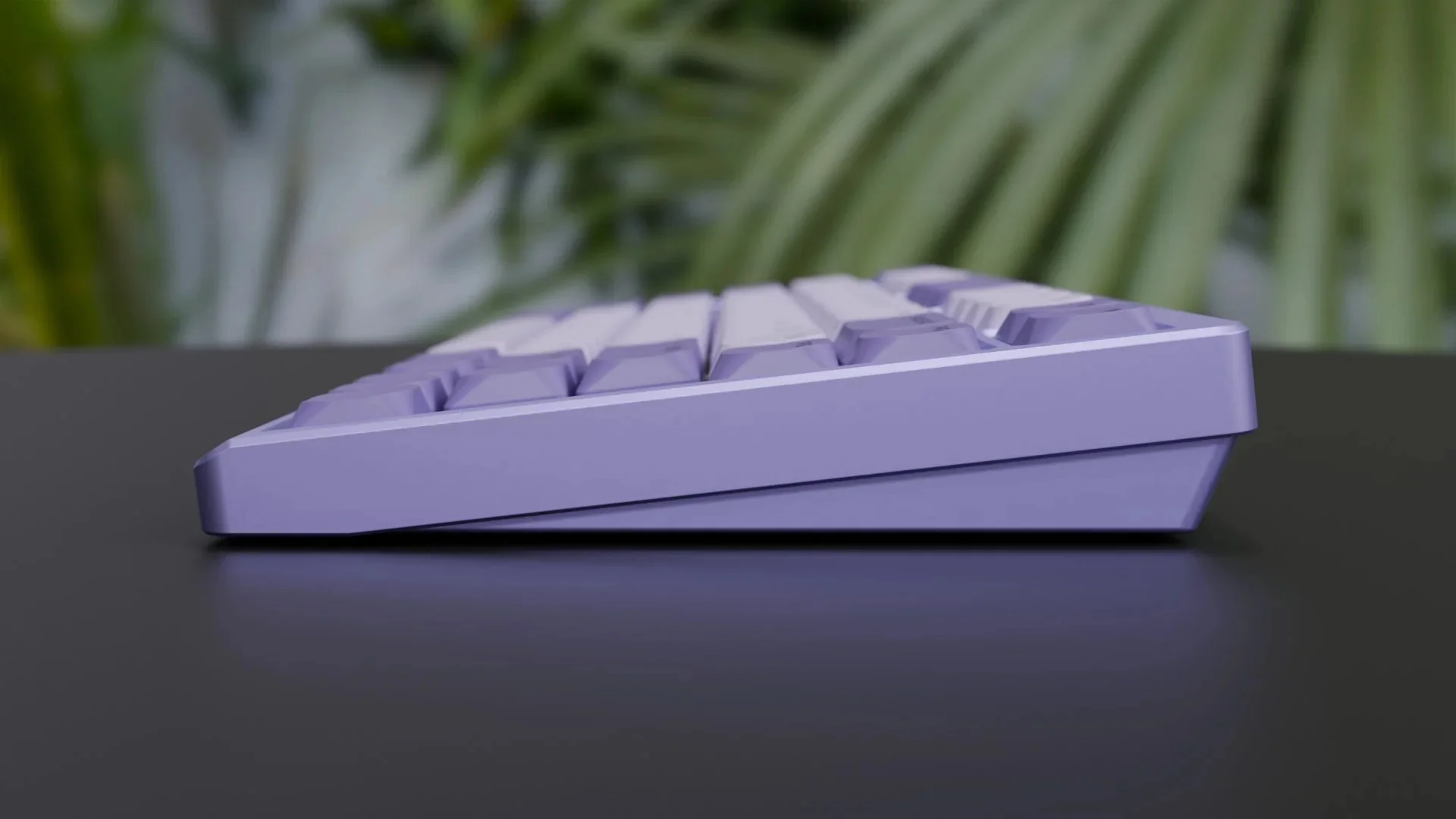 Thumbnail 33
